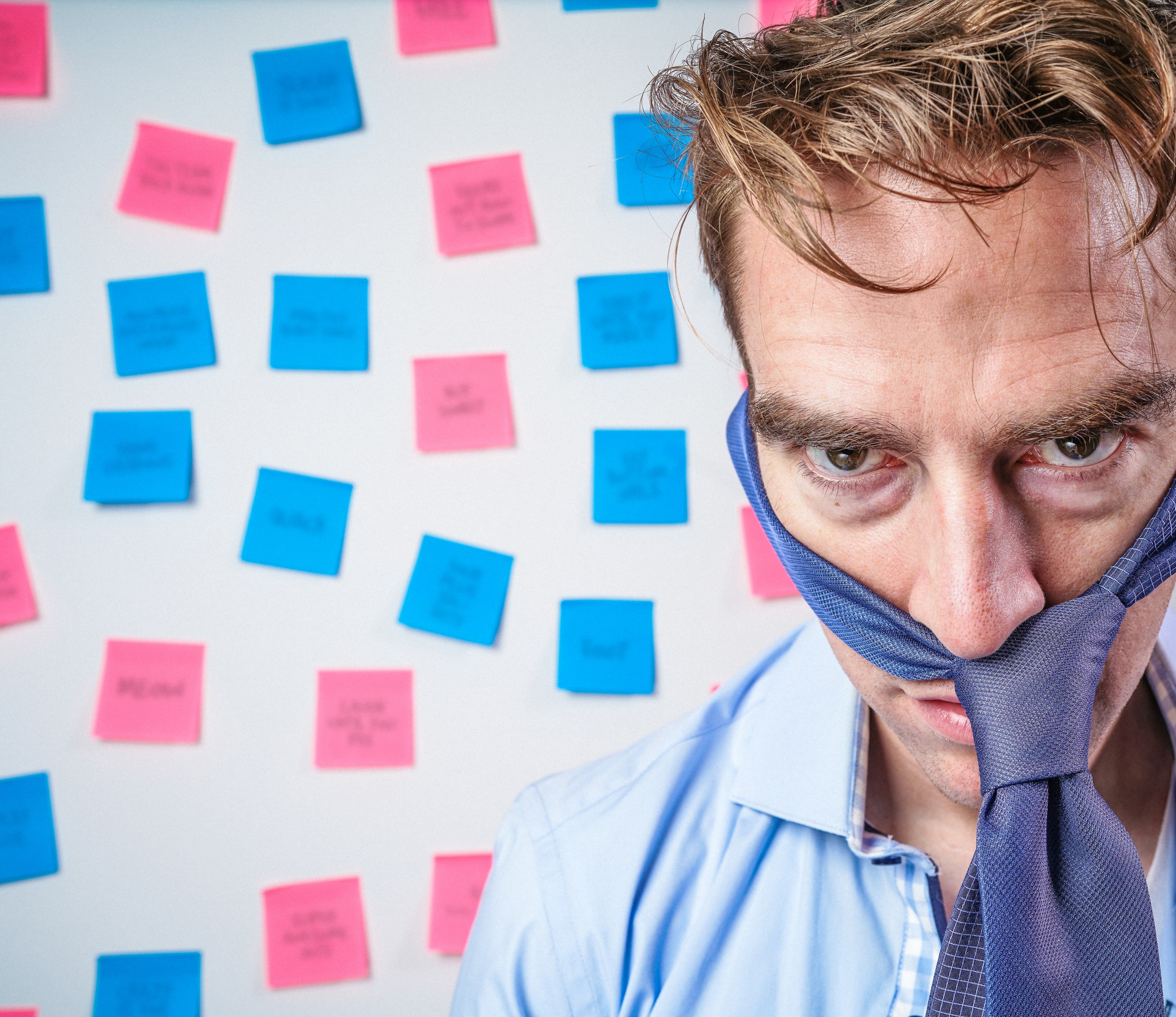 5 אתרים להורדת תמונות ללא זכויות יוצרים הטובים ביותר